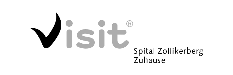 Visit Logo Graustufen